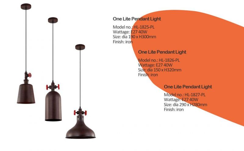 One Light Iron E27 Industrial Pendant Lamp (HL-1824-PL)