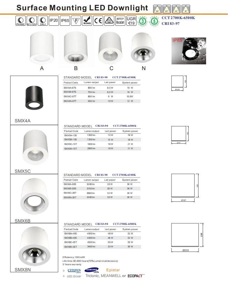IP20 IP65 18W Decorative Cylinder LED Downlight Retrofit Ceiling LED Fixture LED Surface Mounted Downlight