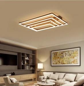 LED Chandelier Modern for Ceiling Lamp