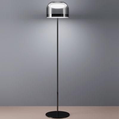 Modern Lighting LED Floor Lamp Smoke or Copper Glass Standing Lamp LED Floor Lamp (WH-MFL-159)