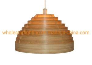Rattan lamp, bamboo pendant lamp (WHP-245)
