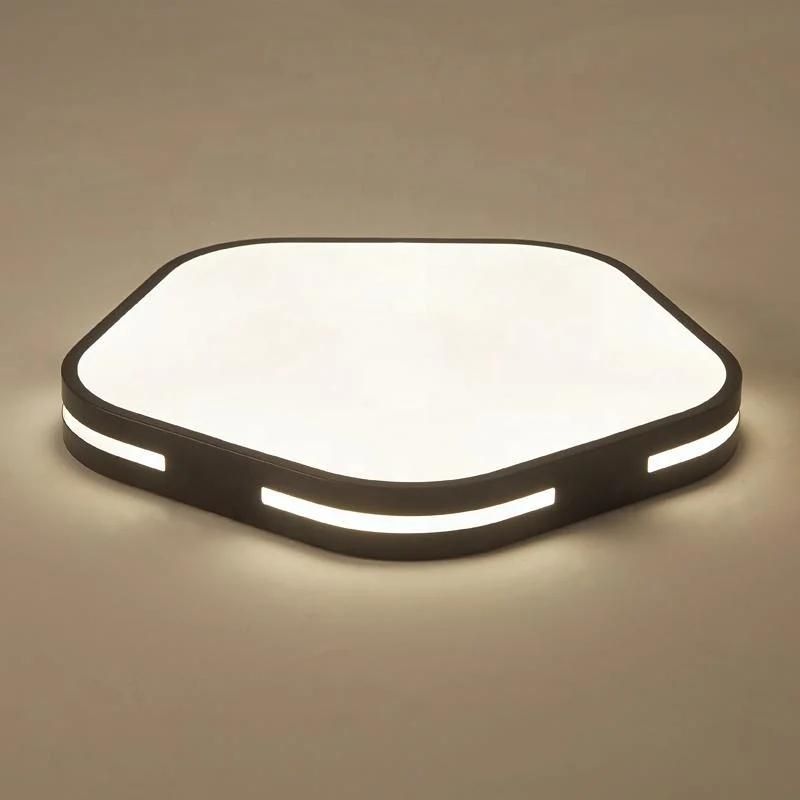 Hotel Ceiling Lamp LED Light Smart LED Ceiling Light