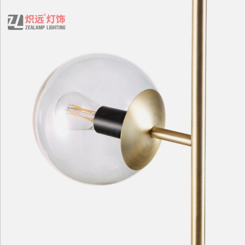 Globe Glass Shade Iron Holder Interior Residential Floor Lamp (ZLF026)