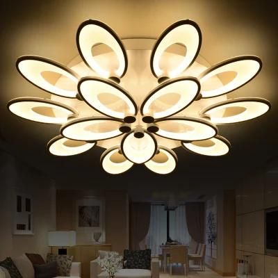 Affordable Modern Ceiling Lighting for Bedroom Kitchen Dining Room Ceiling Lamp Fixtures (WH-MA-54)