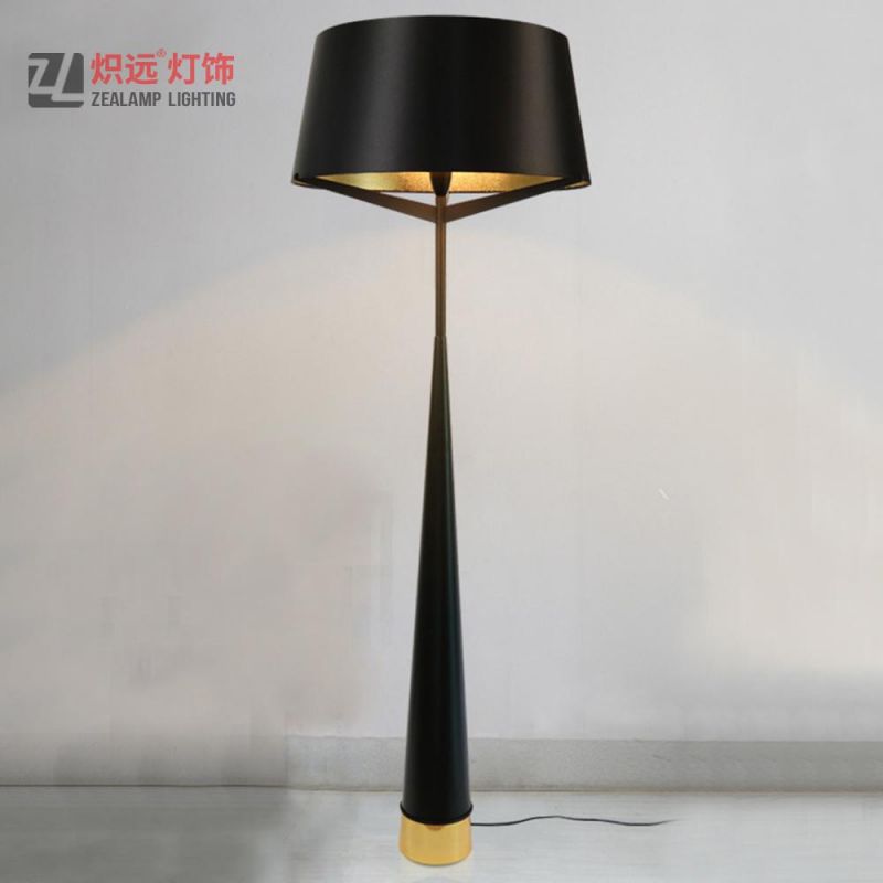 Indoor Lighting Iron Decoration Lamp for Living Room (ZLF023)