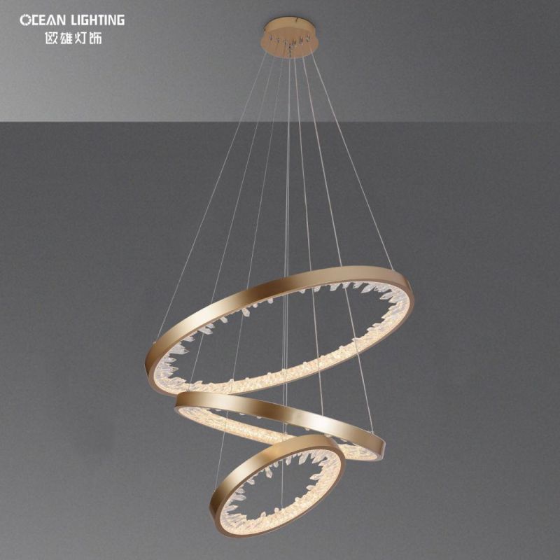 Modern Indoor Decorative Pendant Lighting Aluminum Iron Acrylic Pendant Lamp for Home Hotel