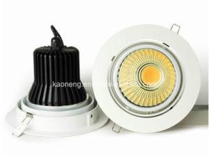 LED Downlight