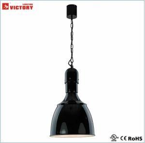 Interior Bright Black Metal Industrial Lighting (H-3733)