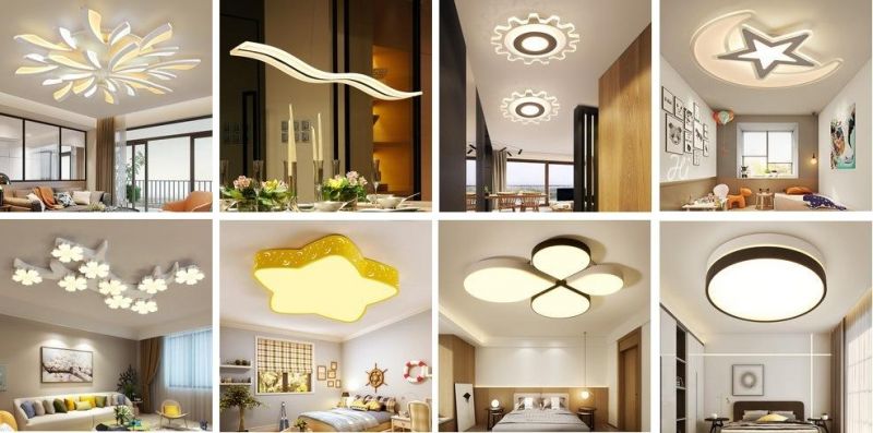 Modern Acrylic Art LED Ceiling Lighting/Lamp for Villa Decoration Zf-Cl-035