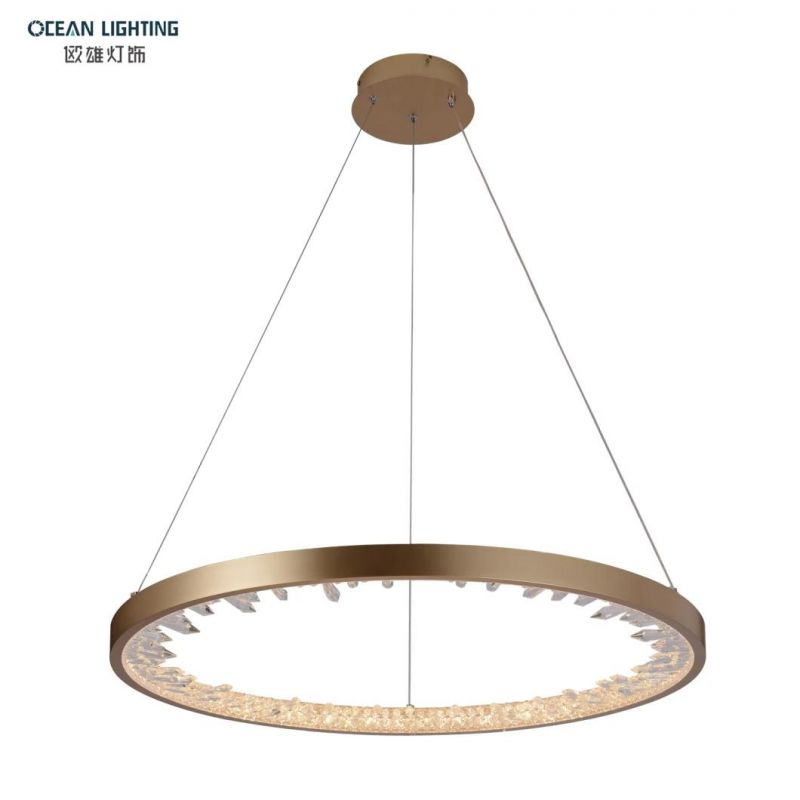 Modern Single Circle Pendant Lamp