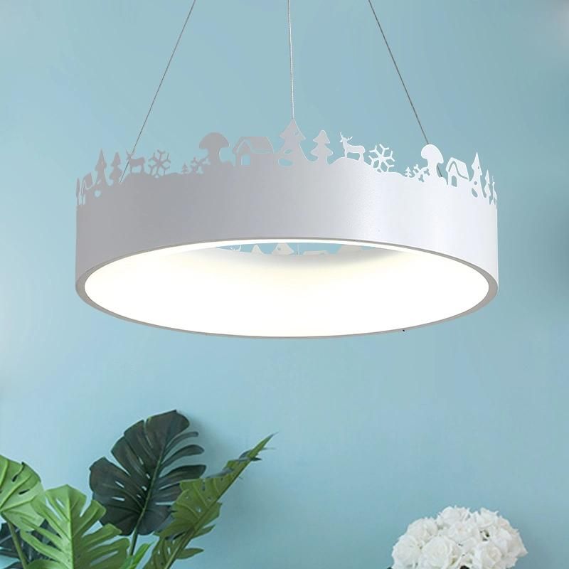 Multi Coloured Pendant Lights for Indoor Home Lighting Fixtures (WH-AP-38)