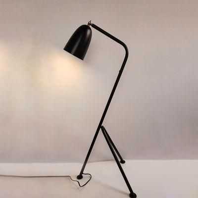 Plating Metal Body and Shade with Acrylic Lock Floor Lamp.