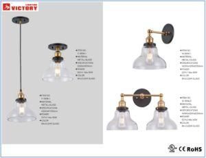 Hotel Decorative Glass Pendant Lamp for Living Room