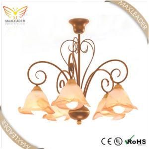 2014 Hot Sale Decorative Light