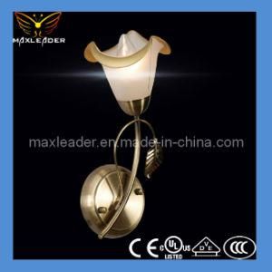 2014 Hot Sale Lamp CE, VDE, RoHS, UL Certification