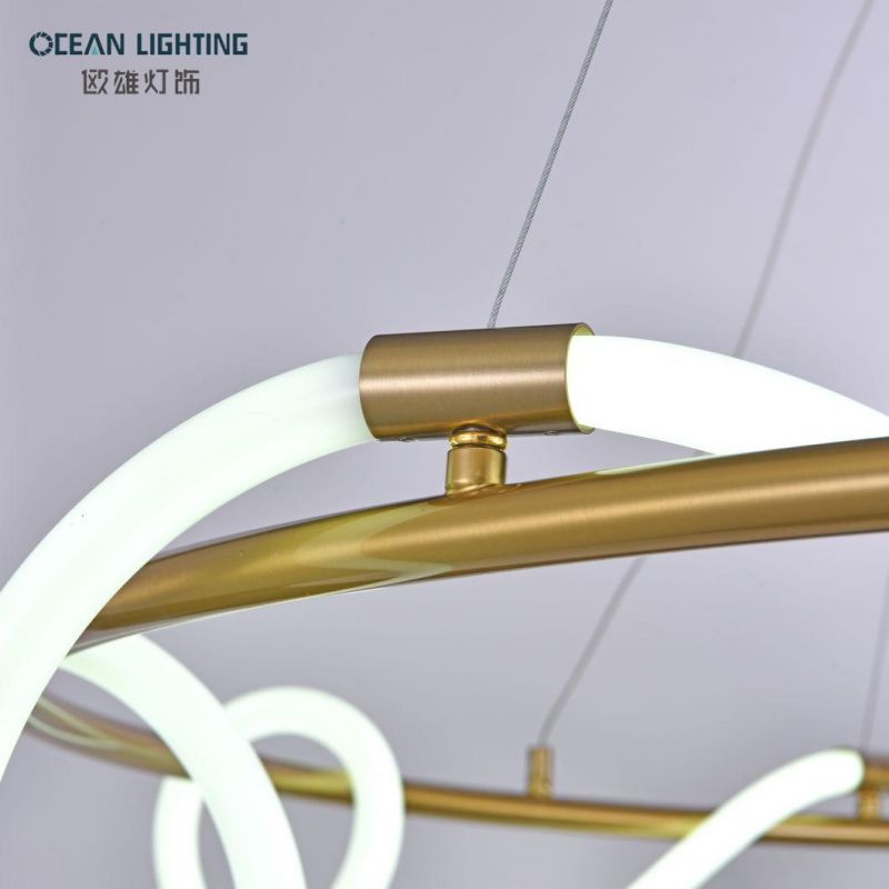 LED Simple Light Fixtues PVC and Metal Pendant Ceiling Lamp