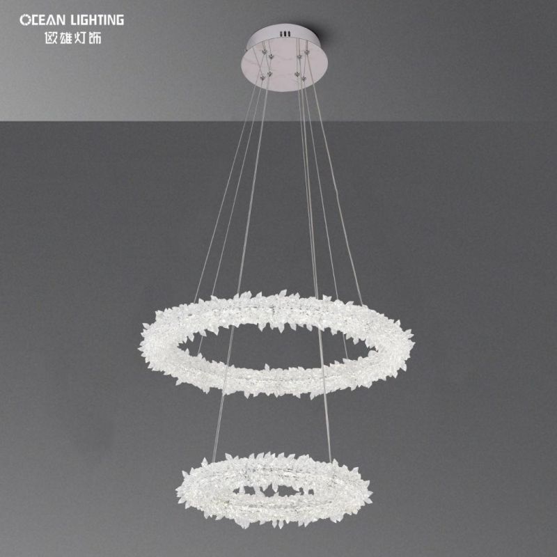 Ceiling Lamps for Living