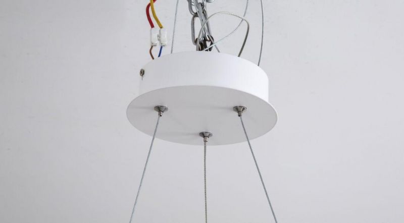 How Bright Designer Ceiling Pendants Lighting Aluminum Pendant Lamp for Living Room