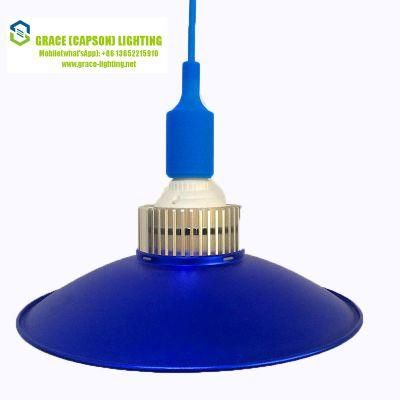 Decorative Supermarket LED 30W Pendant Lamp