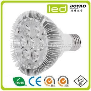 PAR30 Light LED E27 7W