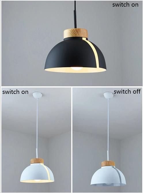 Europe Decorative LED Pendant Light Modern Pendant Lighting Hanging Pendant Lights