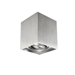 Recessed LED Downlight (LBL031)