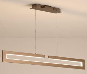 2020 New Design Ceiling Modern LED Light