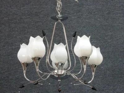 Pendant Lamp (D-69166/5+1)