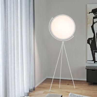 Modern LED Floor Lights Lighting Living Room Bedside Floor Lamp (WH-MFL-106)