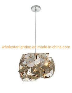 Stainless Steel Pendant Light (WHP-385)