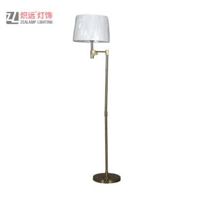 Decorative Floor Lamp for Living Room (ZLF056)