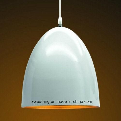 Fashion Modern Lighting Hanging Pendant Lamp for Interior Light Decorative