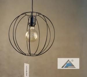 Globe Vintage Metal Frame Pendant Lighting (C5006142)