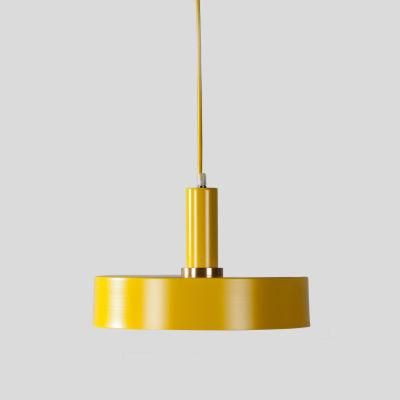 Modern Home Pendant Lighting Chandelier Pendant Ceiling Light for Decoration Room