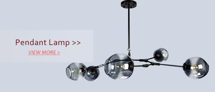 Modern Hand Blown Clear Glass Ball Indoor Decorative Pendant Lamp