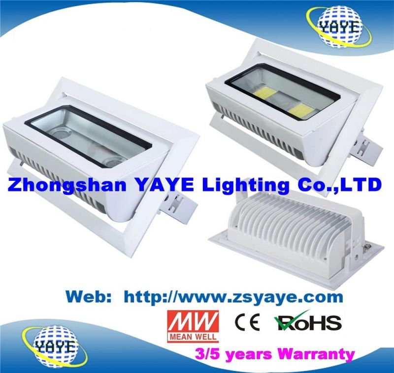 Yaye 18 Hot Sell Waterproof IP65 COB 20W/30W/40W LED Ceiling Light / LED Down Light