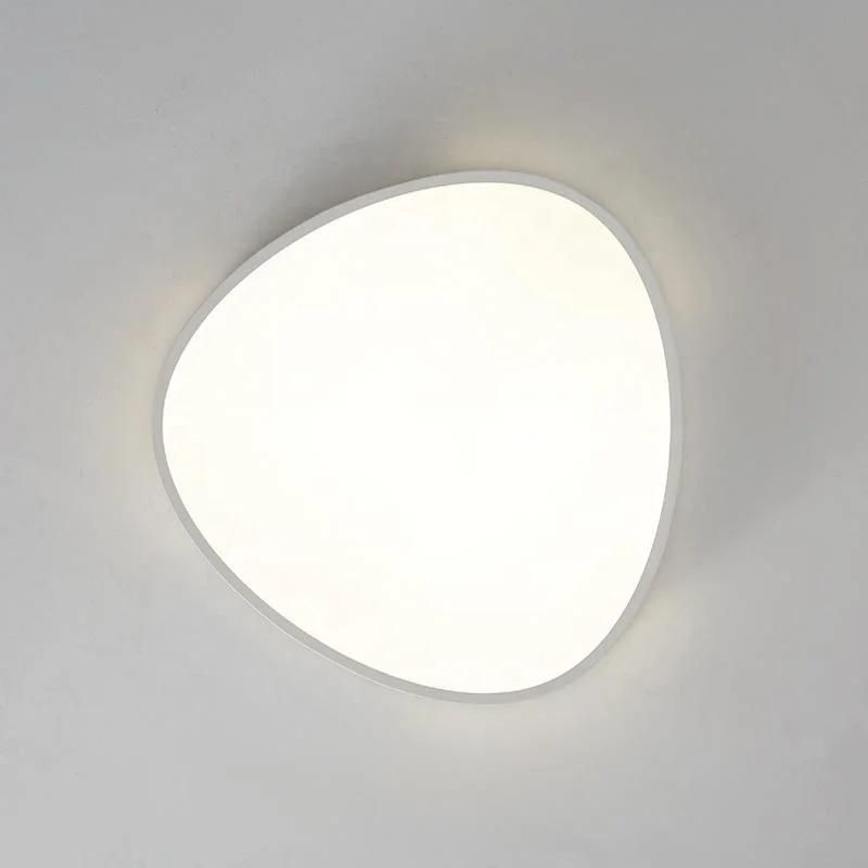Smart LED Modern Ceiling Light Home Hotel Ceiling Lamp