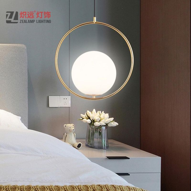 Simple Design Frosted Glass Pendant Lamp for Living Room (ZLA058P)