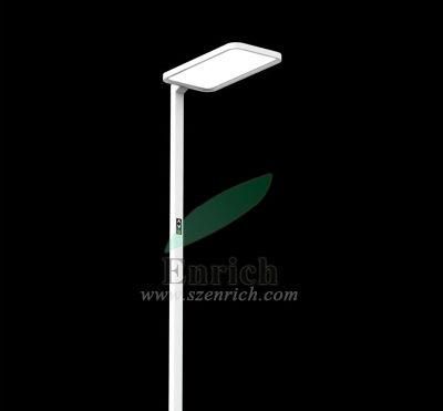 Color Temperature &amp; Brightness Adjustable LED Floor Lamp for Office Lighting