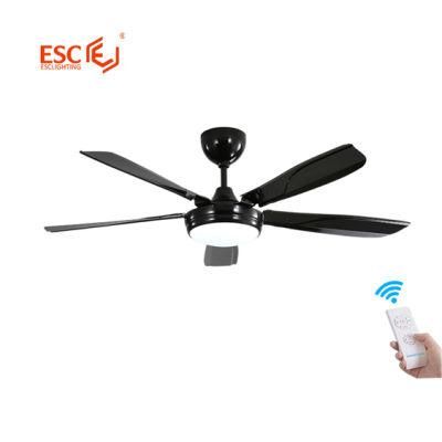 Energy Saving 5 Fan Speed DC Inverter Full Copper Motor 110V 220V Fan Lamp Ceiling