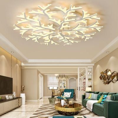 Modern Simple Decorative Acrylic LED Ceiling Lamp Light/Lamp Zf-Cl-025