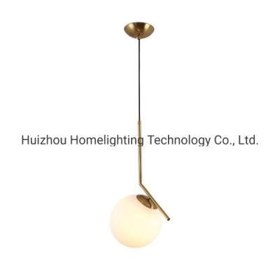 Jlc-8037 Modern Globe Frosted White Glass Pendant Hanging Light Lamp