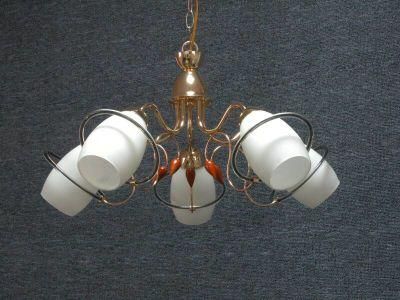Pendant Lamp (D-56001/5)