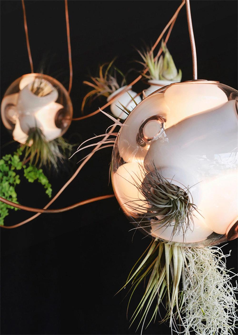 Hanging Glass Round Terrarium for Decoration Clear Glass Hanging Pendant Light