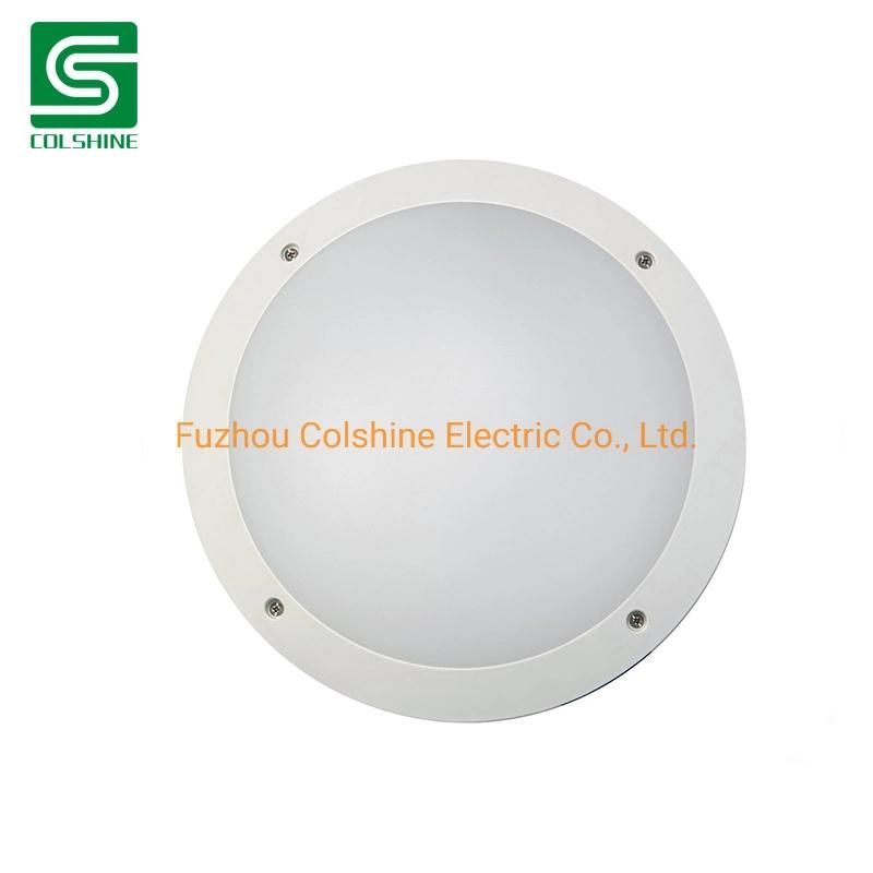 Outdoor Ceiling Wall Mounted Lighting LED Bulkhead Lamp