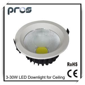 Adjustable and Dimmable LED Recessed Down Light