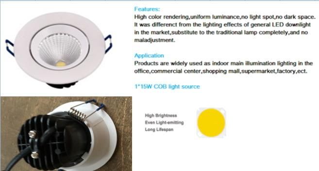 High Bright Ce RoHS COB Down Light 15W LED Downlight