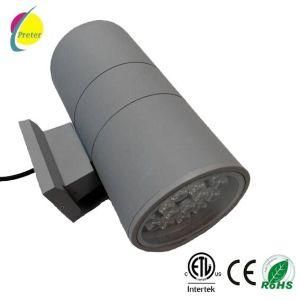 Outdoor IP65 RGB LED Wall Light China Suppliers