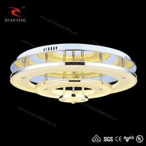 Decorative LED Ceiling Lamp for Home and Hotel Lighting (Mx20374)