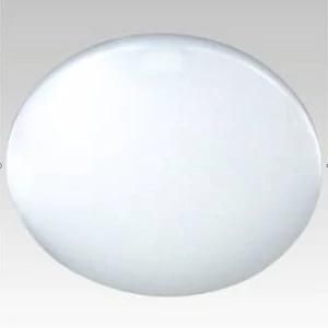 LED Ceiling Light (ZYY1A16-013)